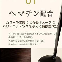 ブラッククリスタル　シャンプー&トリートメントの画像
