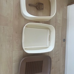 猫　デオトイレの画像