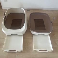 猫　デオトイレの画像