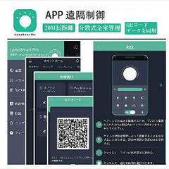 半額以下！新品未使用　おしゃれ　ブラックシーリングライトの画像