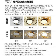 半額以下！新品未使用　おしゃれ　ブラックシーリングライトの画像