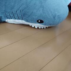 ぬいぐるみの画像