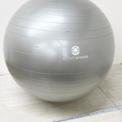 【中古品】バランスボール シルバー 55~65cm 健康グッズ エクササイズ トレーニング用品 体幹 ストレッチの画像