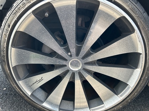 引き取り先決定