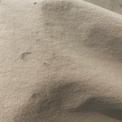 コーチジャケットの画像
