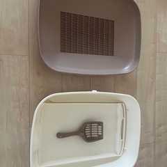 猫　デオトイレの画像
