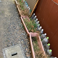 プランターの画像