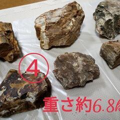 アクアリウム用　石　まとめ売りの画像