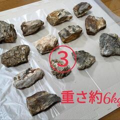 アクアリウム用　石　まとめ売りの画像