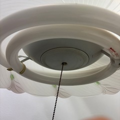 ナショナル蛍光灯の画像