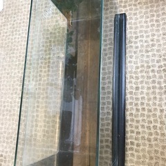 水槽(2)の画像
