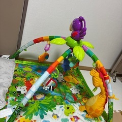 ベビージム
の画像