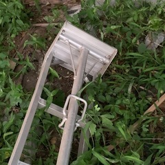 3本足脚立の画像