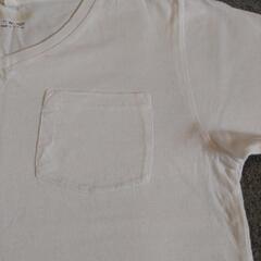 ブランド不明    Ｔシャツ  白無地の画像