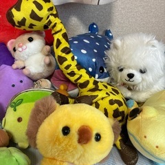 ぬいぐるみセットの画像