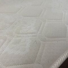 magniflex　旧モデル246（S）　No.186の画像