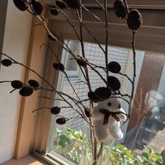 ヤシャブシの実　インテリア　造花　ドライフラワー　インテリアの画像