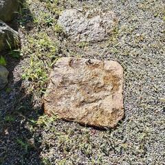 庭　灯籠　飛び石の画像
