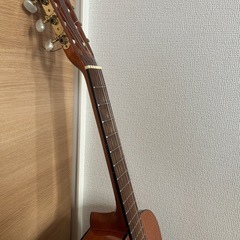 ギターAria 　ソフトケース付きの画像