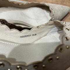 RANDA24.0の画像