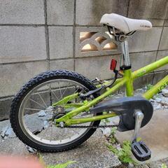 16インチ　ルイガノの画像