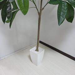 【配送無料】観葉植物パキラ(フェイクグリーン)　7773の画像