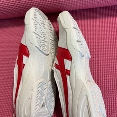 上履き　27cm 未使用品　着払の画像