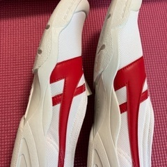 上履き　27cm 未使用品　着払の画像