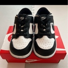 NIKE ダンクロー　14.0の画像