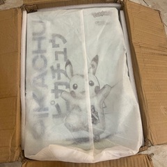  Daniel Arsham × Pokémonダニエルアーシャム ピカチュー　青の画像