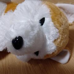 秋田犬のぬいぐるみの画像
