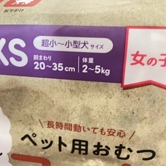 おむつ　ペットの画像