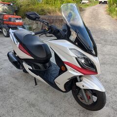 ★神戸三田 キムコ　台湾　G-Dink 250の画像