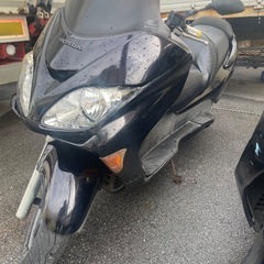 フォルツァZ(mf08)の画像