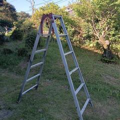 はしご、脚立の画像