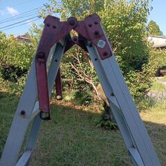 はしご、脚立の画像