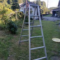 はしご、脚立の画像