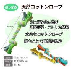 Pawspick  犬 おもちゃ 噛む ロープ ボール ぬいぐるみ 音が鳴る 耐久性 頑丈 歯磨き ストレス解消 ペット 小型犬 (9kg~) 中型犬 玩具 4点セット (ブルーMIX) PawsPick_おもちゃMIX４点セットの画像