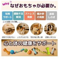 Pawspick  犬 おもちゃ 噛む ロープ ボール ぬいぐるみ 音が鳴る 耐久性 頑丈 歯磨き ストレス解消 ペット 小型犬 (9kg~) 中型犬 玩具 4点セット (ブルーMIX) PawsPick_おもちゃMIX４点セットの画像