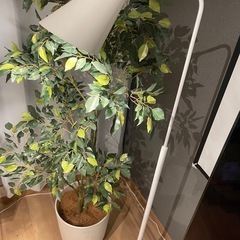 スタンドライトの画像