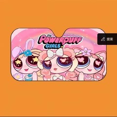 車✨サンシェード☀️パワーパフガールズ💕の画像