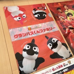 名古屋グランパス ファイル パンフレット 2セットの画像