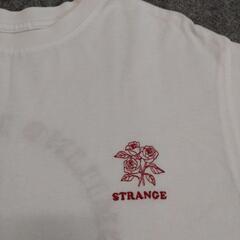 ブランド不明    Ｔシャツ  白地  バラの画像