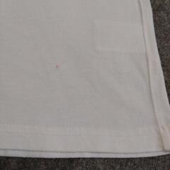 ブランド不明    Ｔシャツ  白地  バラの画像