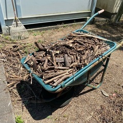木譲ります❗️薪🪵バーベキュー🔥DIY 飾り🌴用途多用　もみじ/ユーカリ/桜の幹他の画像