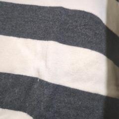 アンナデイズ　レディースシャツ　Мサイズの画像