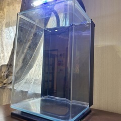 テトラ水槽&ニッソー水槽の画像