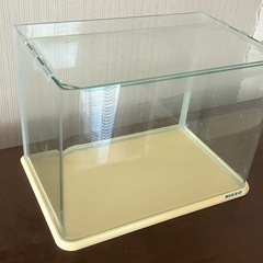 テトラ水槽&ニッソー水槽の画像