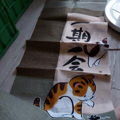 セットの画像