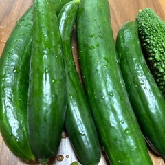 【お取引中】お野菜　まとめ売りの画像